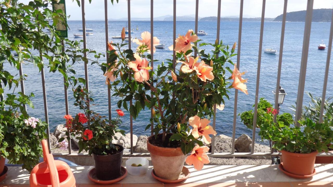 I Cinque Sensi Bed and Breakfast Ischia Værelse billede